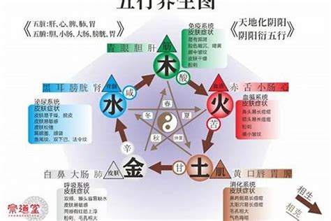 強水 強金|五行篇